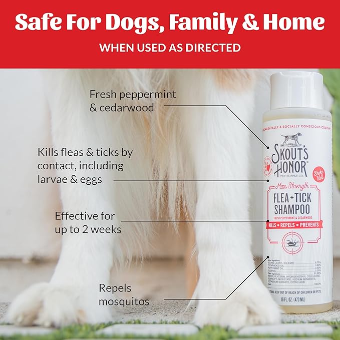 Skout's Honor Flea and Tick Shampoo for Dogs - Natural Peppermint & Cedarwood Formula, Helps to Protect from and Against Fleas, Ticks, and Mosquitos, 16 oz