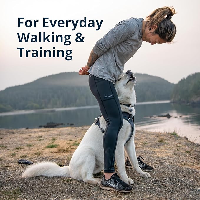 Ruffwear, Front Range Dog Harness, Reflective Soft Padded Everyday Harness with Dual Leash Clips, Adjustable and Lightweight Fit for Training or Walking for All Dogs, Blue Pool, X-Small