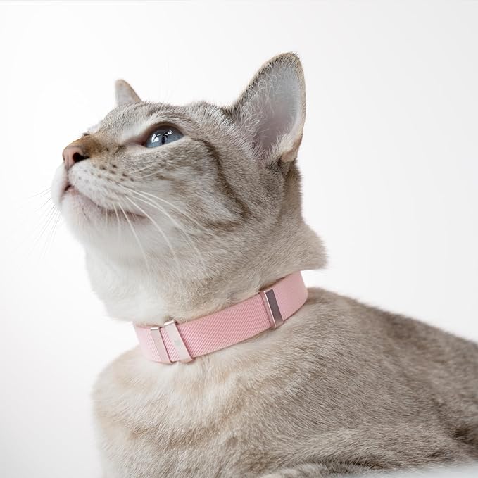 Safety Cat Collar - U.S. IDA Gold Awarding Design, Elastic Quick Release, Non Breakaway - Lightweight for Kitten, Neck Fit 5.9'-11.8' for All Small Large Cat,S(Sunshine)