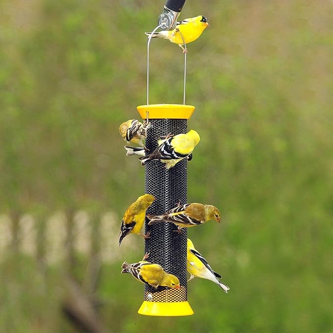 Backyard Seeds Thistle Bird Seed for Finches 50 Pounds