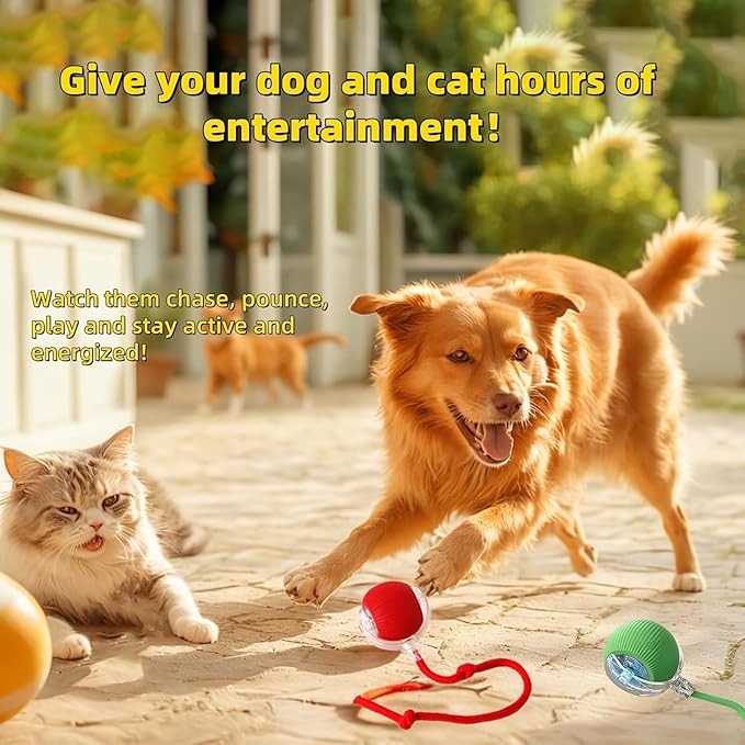 Interactive Dog Cat Toy Ball, Automatic Moving Bouncing Rolling, with Replacement Tail, Pet Smart Chase Ball Rechargeable, Enrichment Toys for Bored Indoor Adult Cats/Dogs