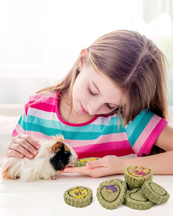 Sofier 28Pcs Timothy Hay Treats Rabbit Toys Bunny Toys Guinea Pig Natural Handmade Treats and Chews for Small Animals Hamster Chinchilla Rat Gerbil