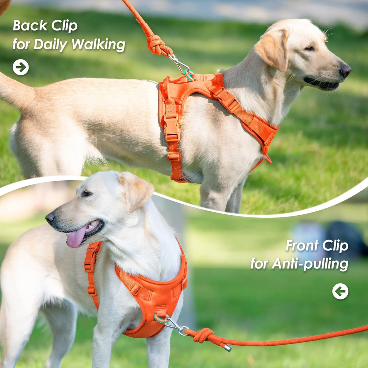 No Pull Dog Harness, Puppy Vest with Front Clip for Small Medium Large Sized Dog(Orange,XS)