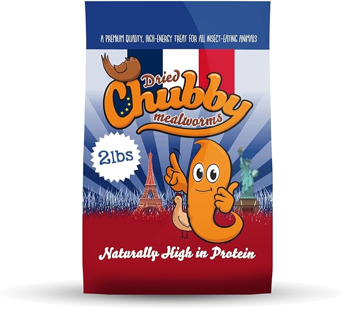 Chubby Dried Mealworms 2 Lbs - Grown in The EU - Non-GMO Mealworms for Chicken & Birds - Chicken Feed Treats for Laying Hens (2 Lb)