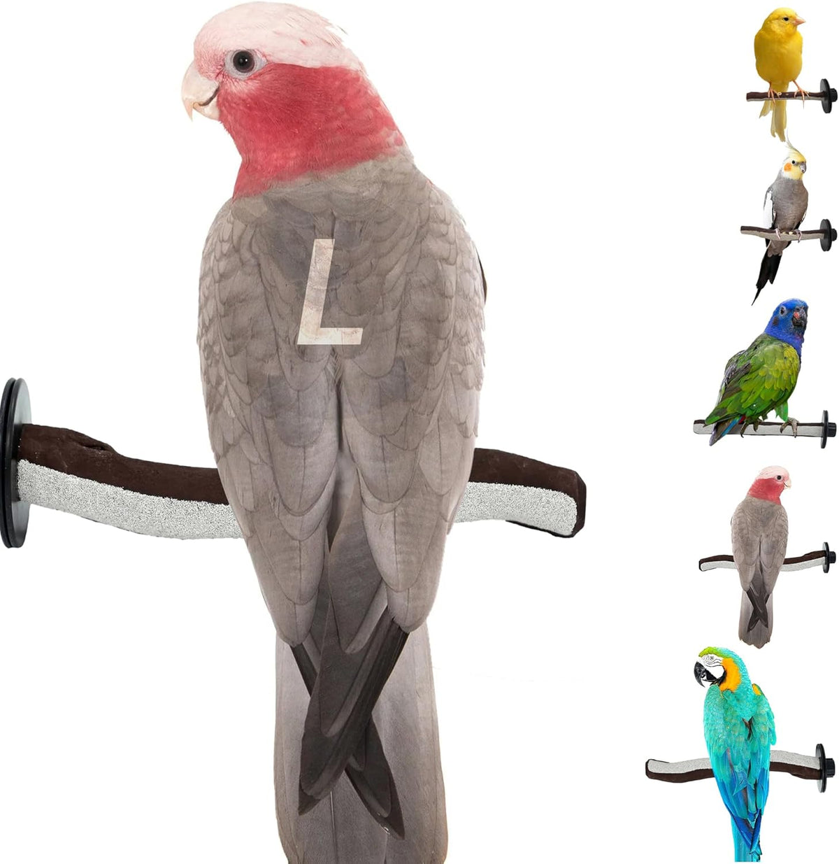 Superoost Manzanita Pumice Pedicure Perch- Easy to Install Bird Cage Accessories for Healthy Feet, Nails and Beak - Natural Bird Perches Imitates Birds' Life in The Wild - L 12"