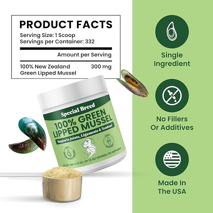 Special Breed Green Lipped Mussel Powder for Dogs & Cats - 100% New Zealand - Natural Hip & Joint Supplement for Joints, Tendons, Ligaments, Muscles - 100 Grams - Up to 332 Servings