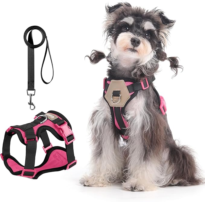 Small Dog Harness and Leash Set, Breathable Mesh Puppy Harness, Adjustable Dog Harness for Small Medium Large Dogs, No-Pull Pet Harness for Daily Walking (Hotpink, Medium)