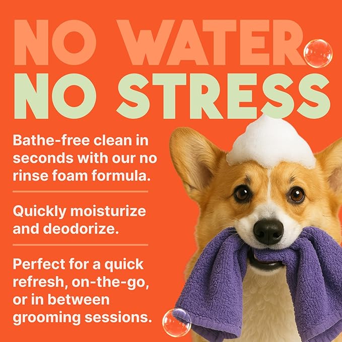 TropiClean No Rinse Waterless Dog Shampoo | Detangling & Deodorizing Dry Shampoo for Smelly Pets | Moisturizes Dry Skin | USA Made | Papaya Scent | 7.4oz