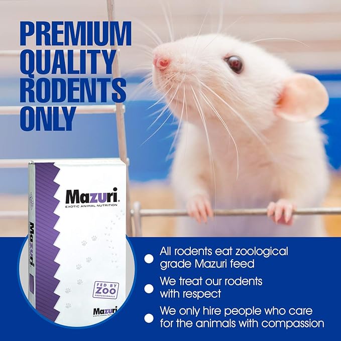 MiceDirect EST. 2003 100 Frozen Rat Combo Pack 50 Rat Pinkies and 50 Rat Fuzzies Feeders Snake Food (.5-2.5 in)(600 Grams Min)