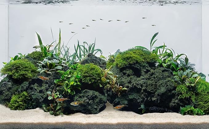LANDEN Black Lava Stones (16lbs,3~10inch,11pcs) for Aquascaping Terrariums, Paludarium, Vivariums, Reptile and Amphibian Enclosures
