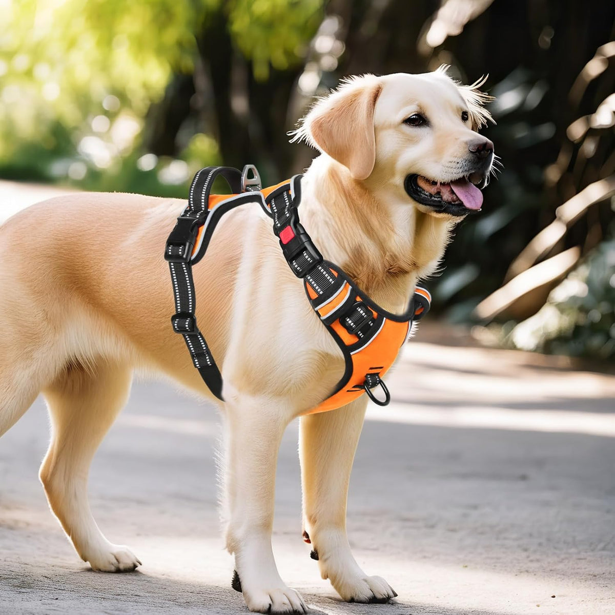 Timos Dog Harness Large Sized, No Pull with Neck Lockable Snap,No Choke Front Clip Dog Reflective Harness,Adjustable Metal Rings 3 Buckles,Easy Control Handle for Large Dogs Orange XL