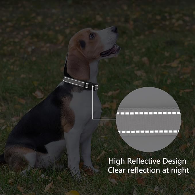 Reflective Dog Collar Padded with Soft Neoprene Breathable Quick Release Basic Dog Collars for Small Dogs Girl Boy Silver
