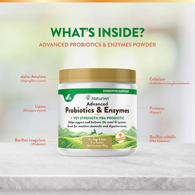 NaturVet – Advanced Probiotics & Enzymes - Plus Vet Strength PB6 Probiotic | Supports and Balances Pets with Sensitive Stomachs & Digestive Issues | for Dogs & Cats (4 oz)