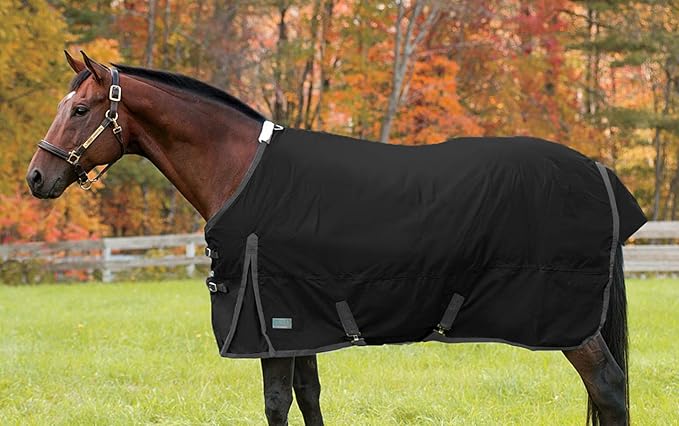 Dover Saddlery Rider’s International Supreme Medium Weight Turnout Blanket