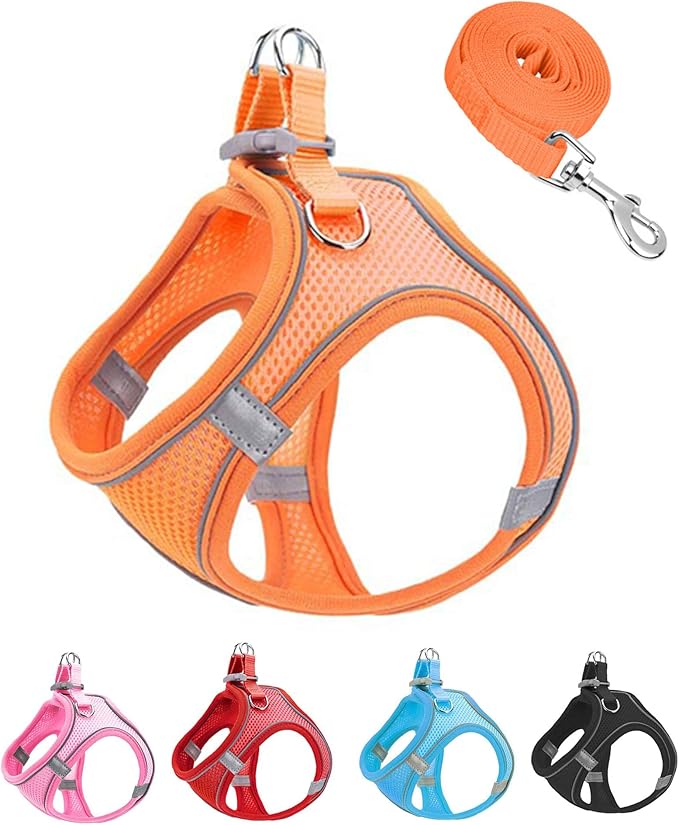 S Orange Soft Mesh Dog Harness and Leash Set,No Escape Puppy Harnesses for Training Walking， Reflective Adjustable Puppy Vest for Small Medium Dogs, Cats (Orange, S)