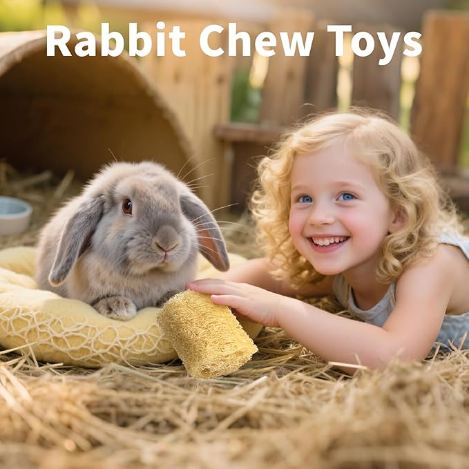 3 PCS Rabbit Chew Toys,100% Natural Loofah Without Additives,Bunny Chew Toys for Teeth,Fiber-Rich Rabbit Treats for Bunny Chinchilla Dogs