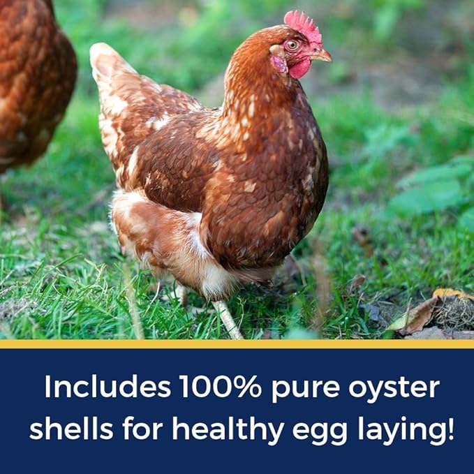Pampered Chicken Mama Best Eggs Ever! Nesting Herbs for Chickens (4 Pounds) Calcium Supplement for Chickens | Chicken Feed Supplies, Hen Treats for Coops