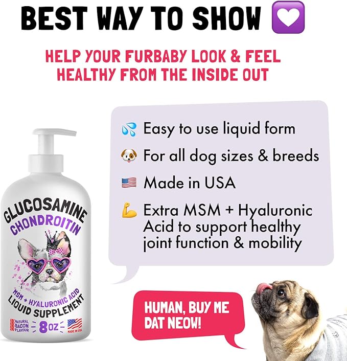 Liquid Glucosamine for Dogs Bacon Flavour with Chondroitin, MSM & Hyaluronic Acid K9 Supplement Hip and Joint Formula Advanced Mobility Joint Pain Relief Senior Advanced Supplement for All Breeds