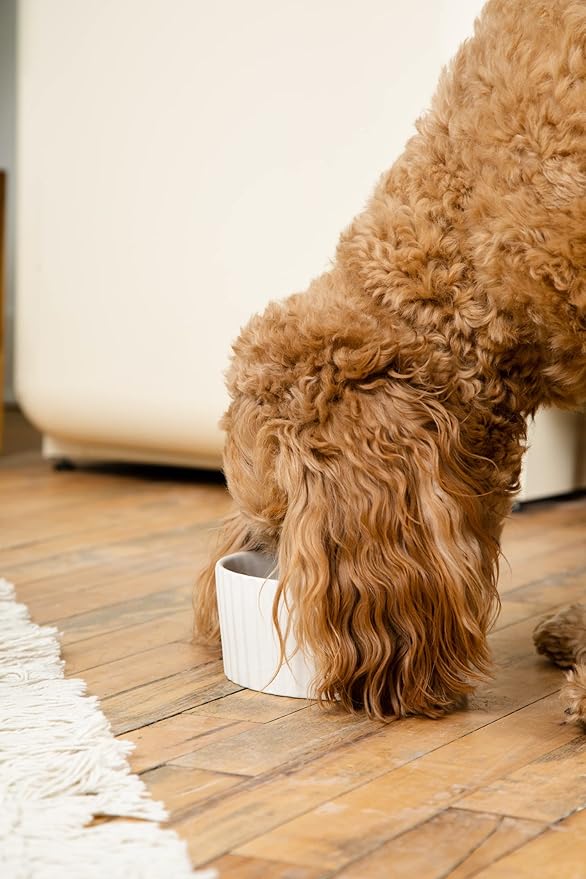 Waggo Ripple Ceramic Dog Bowl for Medium and Large Breeds - Modern with Matte Finish, Heavyweight Durable Pet Food and Water Dish Crock, Dishwasher Safe (Small, White)