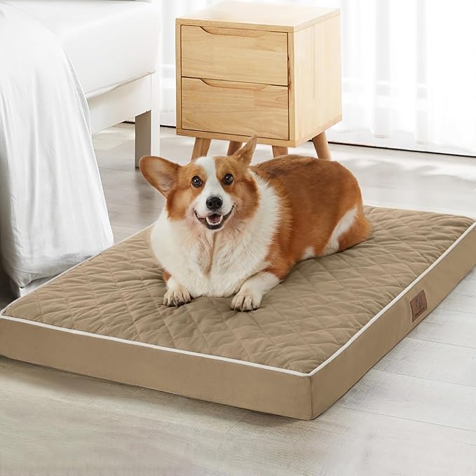 WNPETHOME Orthopedic Dog Bed Medium Size Dog, Waterproof Medium Dogs Bed with Removable Washable Cover, Multi-Needle Quilting Dogs Crate Bed