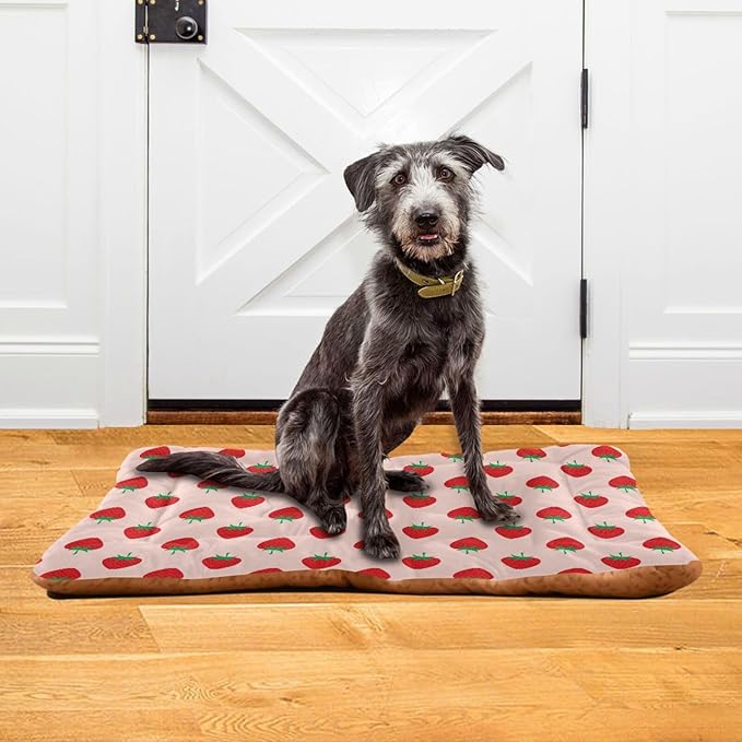 Pet Bed Strawberry Fruit Dog Bed Mat Absorbing Non Slip Pad Pet Sleeping Mat for Small, Medium, and Large Dogs Puppy Cat 36 in x 24 in