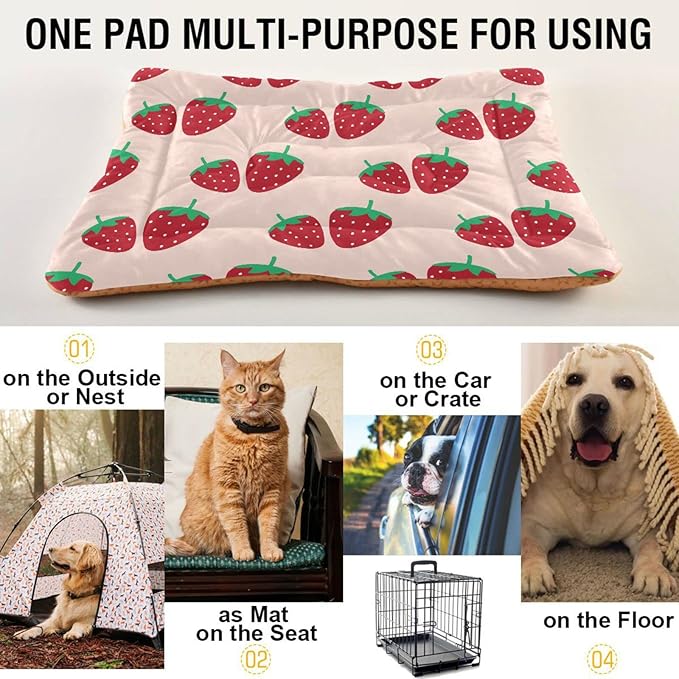 Pet Bed Strawberry Fruit Dog Bed Mat Absorbing Non Slip Pad Pet Sleeping Mat for Small, Medium, and Large Dogs Puppy Cat 36 in x 24 in