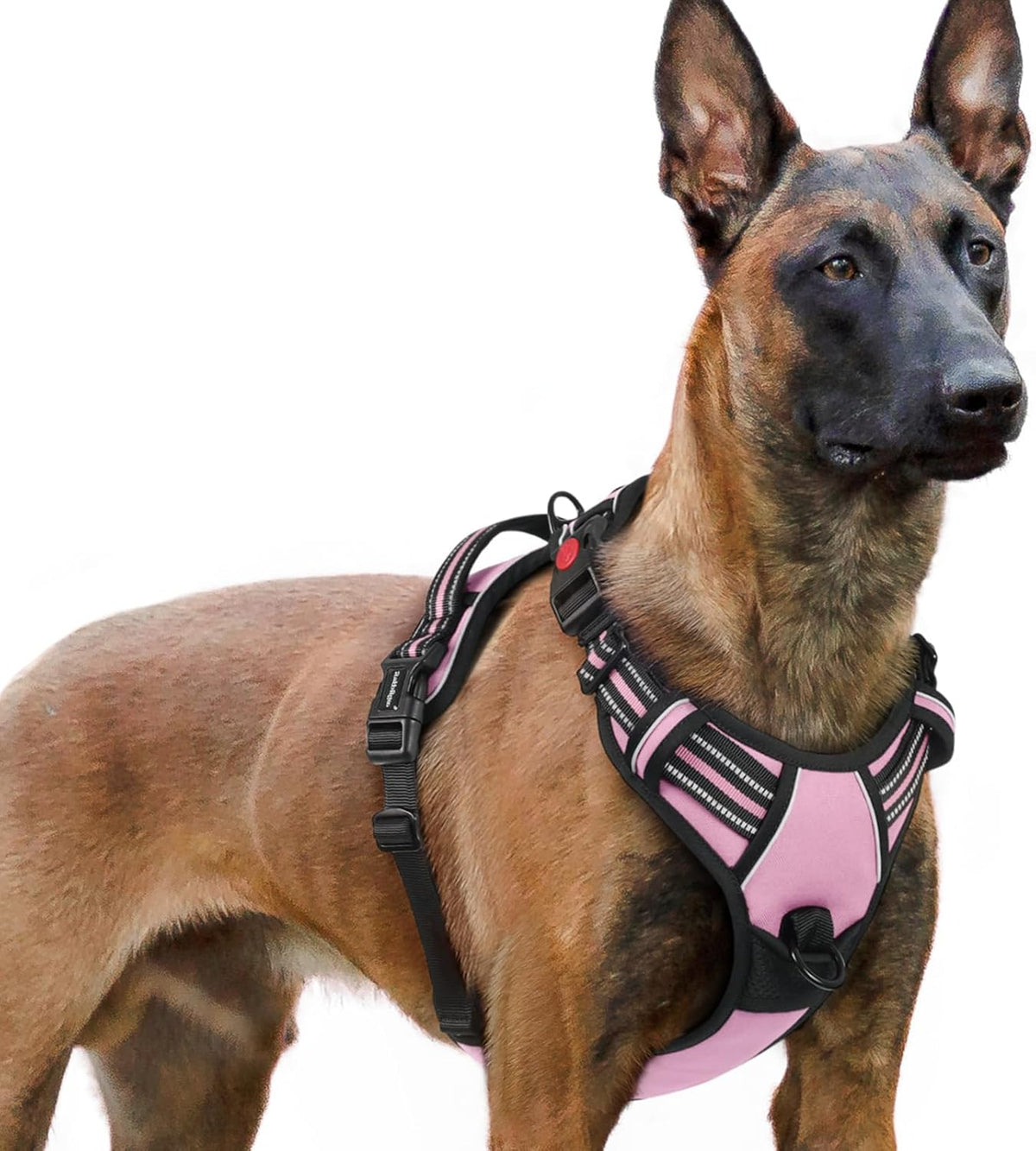 rabbitgoo Dog Harness for Large, No Pull Pet Harness with 3 Buckles, Adjustable Soft Padded Vest with Control Handle, Walking Reflective Pet Vest for Extra Large Dogs, Pink, XL