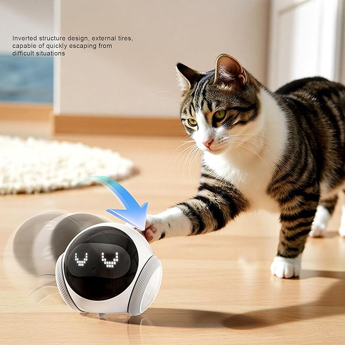 Asixxsix Pet Camera Robot, Wireless 1080P 360 Rotation 121 Wide Angle Indoor Movable Security Camera with Night Vision, 2 Way Talk, Motion Detection Video Recording for Cats Baby