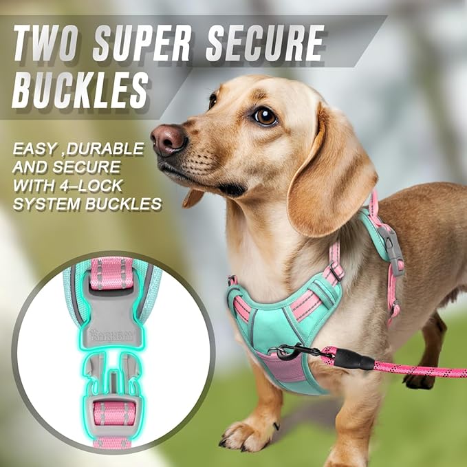 BARKBAY No Pull Dog Harness Front Clip Heavy Duty Reflective Easy Control Handle for Large Dog Walking(Cool Mint & Baby Pink,XS)