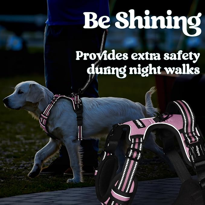 rabbitgoo Dog Harness Small Sized, No Pull Pet Harness with 3 Buckles, Adjustable Soft Padded Vest with Control Handle, Walking Reflective Pet Vest for Small Dogs, Pink, S