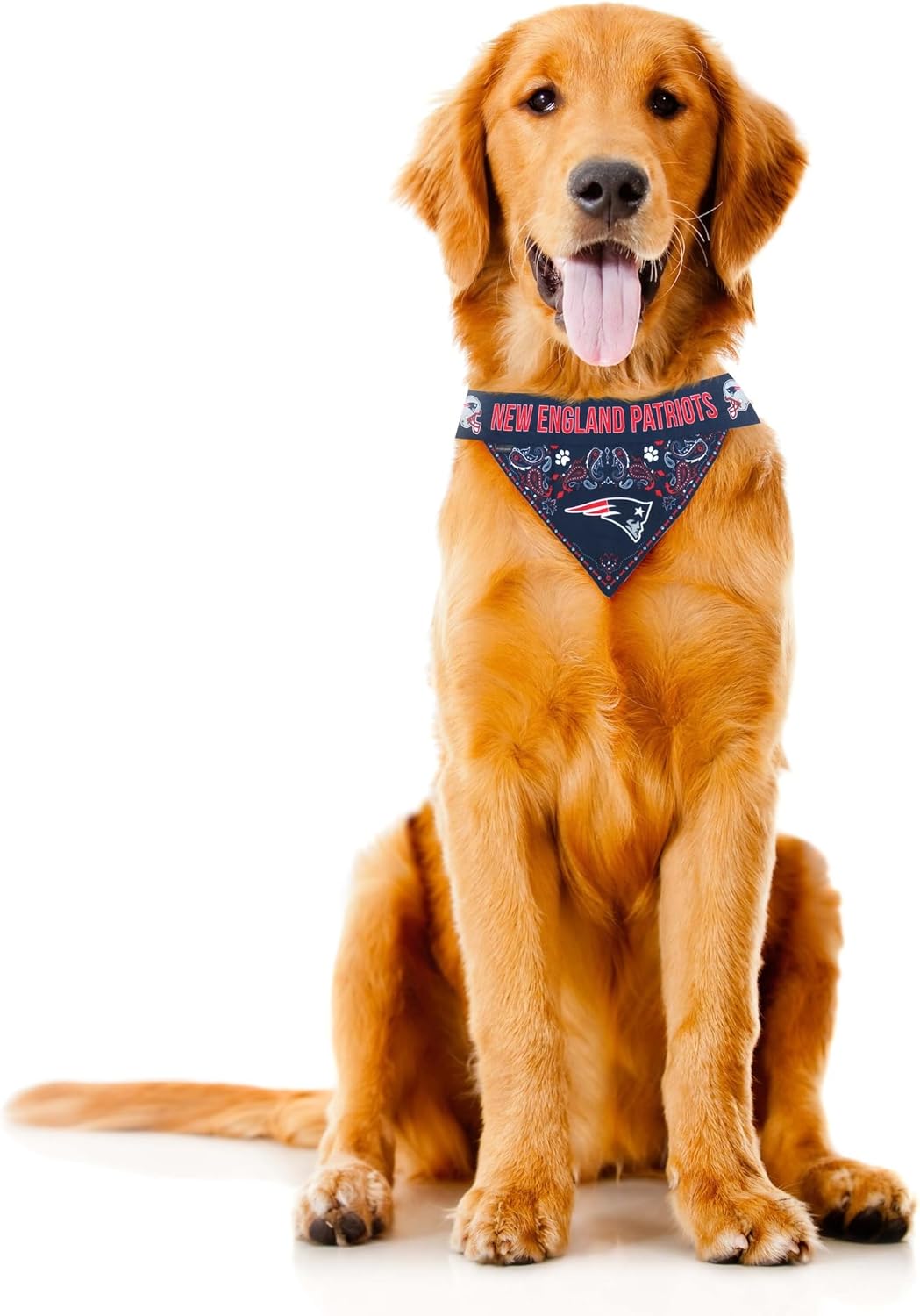 Littlearth NFL Pet Bandana - Reversible
