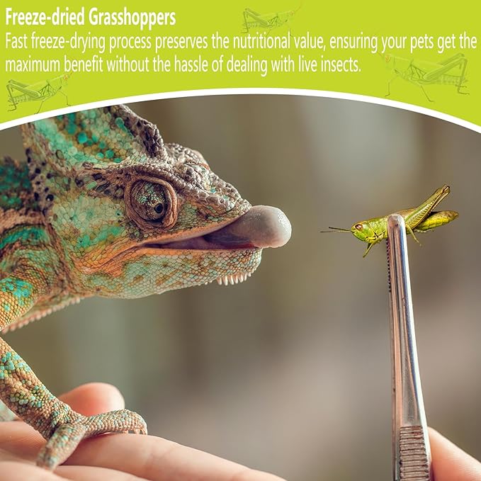 Freeze Dried Grasshoppers – 4.5 Oz High Protein Freeze Dried Grasshoppers for Reptiles, Food for Bearded Dragons Lizards, Geckos, Birds, Hedgehogs