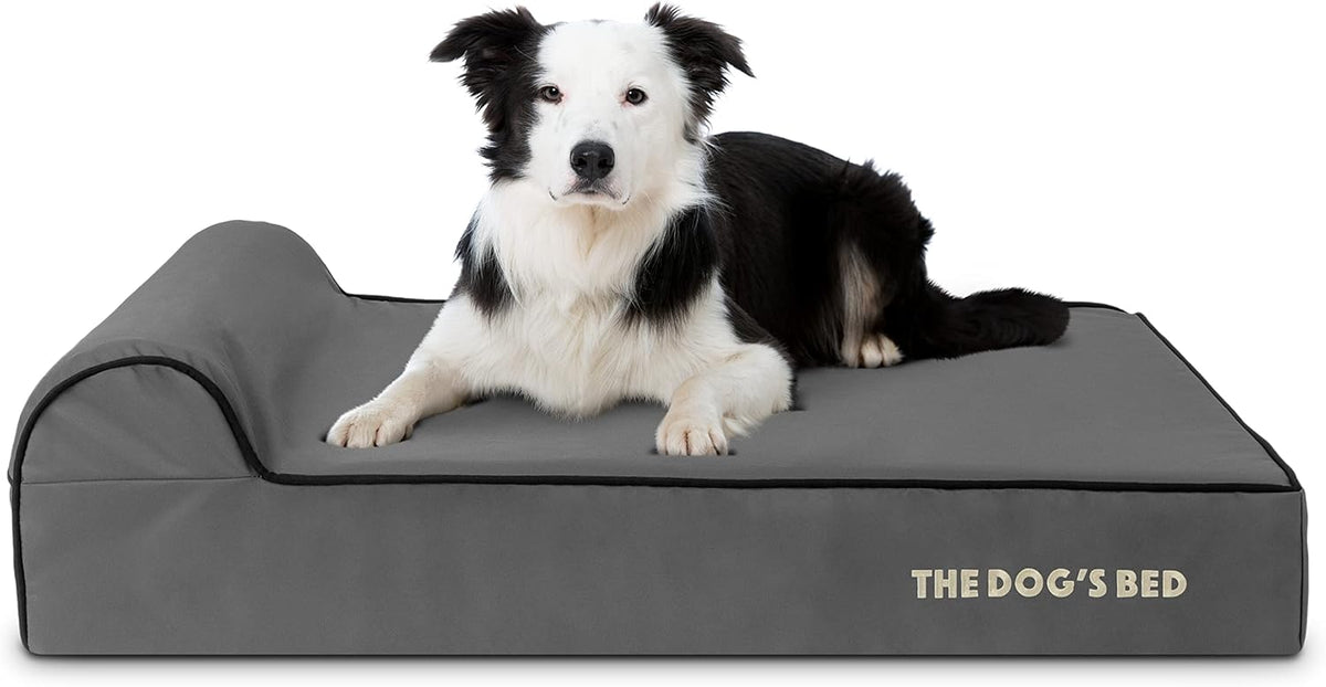 The Dog’s Bed Orthopedic Headrest Dog Bed Large Grey/Black 40x25, Memory Foam, Pain Relief: Arthritis, Hip & Elbow Dysplasia, Post Surgery, Lameness, Veterinary Approved, Waterproof Washable Cover