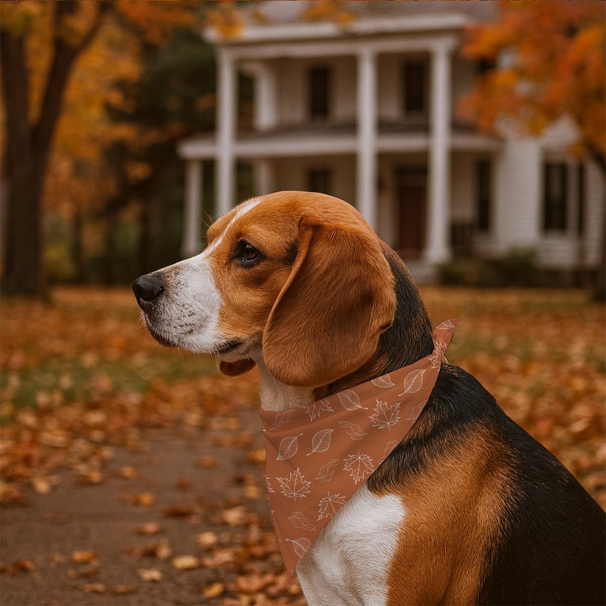 Fall Dog Bandanas Orange Autumn Leaves Print Pet Scarf for Boy and Girl Holiday Bandana for Medium and Small Dogs Fancy Thanksgiving Gifts for Dogs