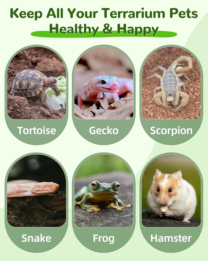 Pawfly 2 Pcs Reptile Water Bowl, Tortoise Water Dish, Food & Water Feeder, Cute Mango Feeding Dish, Tortoise Habitat Accessories for Turtle, Gecko, Bearded Dragon & Lizard, 2 Sizes