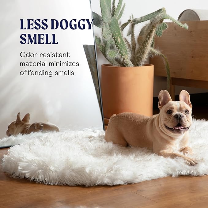 PupRug Orthopedic Dog Bed for Large Dogs with Fluffy Soft Faux Fur and Memory Foam for Joint Pain Relief, Machine Washable and Waterproof Couch Bed, White with Brown Accents, Large/Extra Large