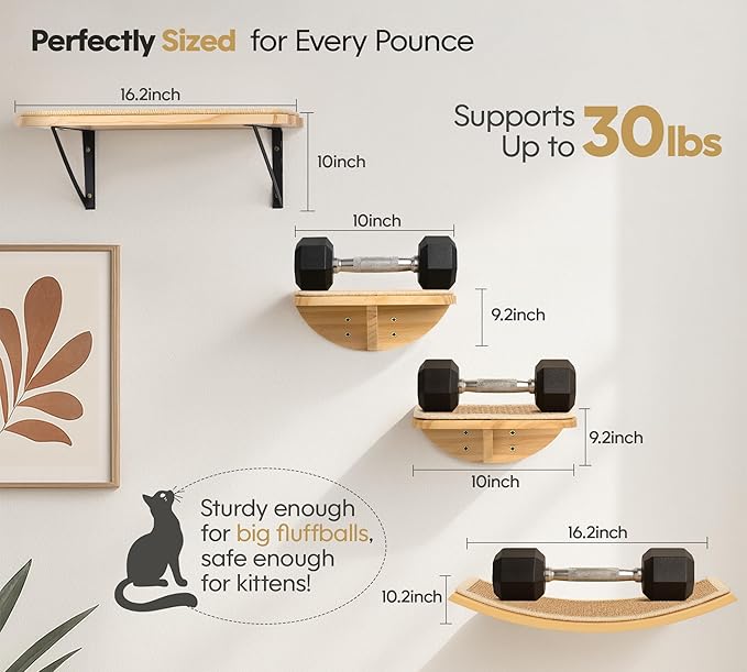 Cat Window Perches, Curved Cat Wall Sisal Mat Bed and 2 Floating Wall Steps, Wall Mounted Climbing Shelves for Sleeping, Playing, and Lounging
