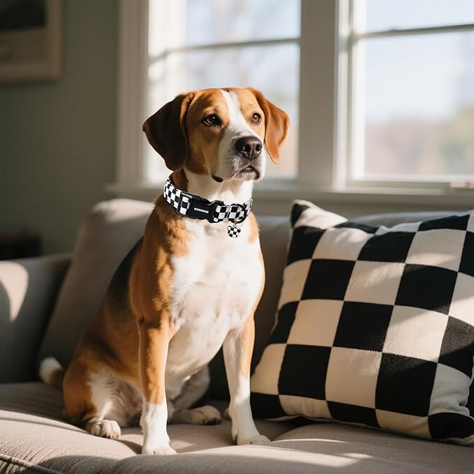 DOGWONG Checkered Dog Collar, Black Plaid Dog Collar Adjustable Soft Natural Fabric Pet Dog Collars Cute Puppy Necklace for Small Medium Large Dogs