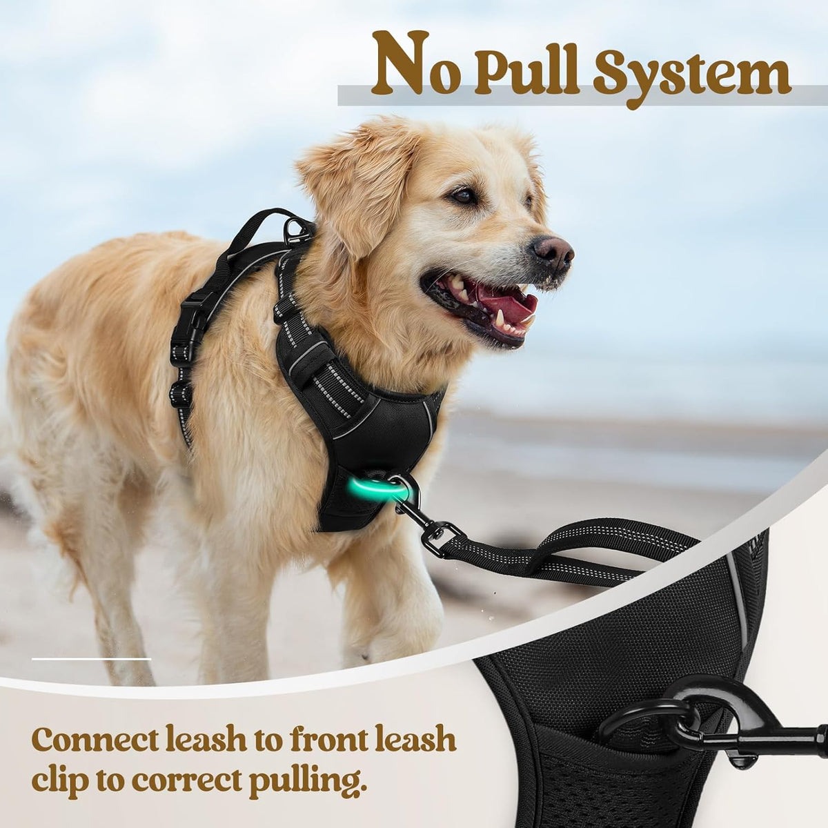 rabbitgoo Dog Harness No Pull with 2 Leash Clips, Adjustable Soft Padded, Reflective Oxford No Choke Pet Vest with Easy Control Handle for Medium Sized Dogs, Black, M
