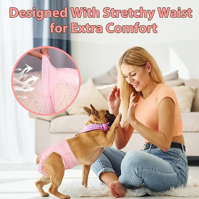 Ambreview Disposable Dog Diapers Female, Just Pull It Up, Doggie Diapers for Female Dogs, Strong Absorbency | Leak Proof, for Dogs in Heat | Elderly | Disabled, S 10 PCS