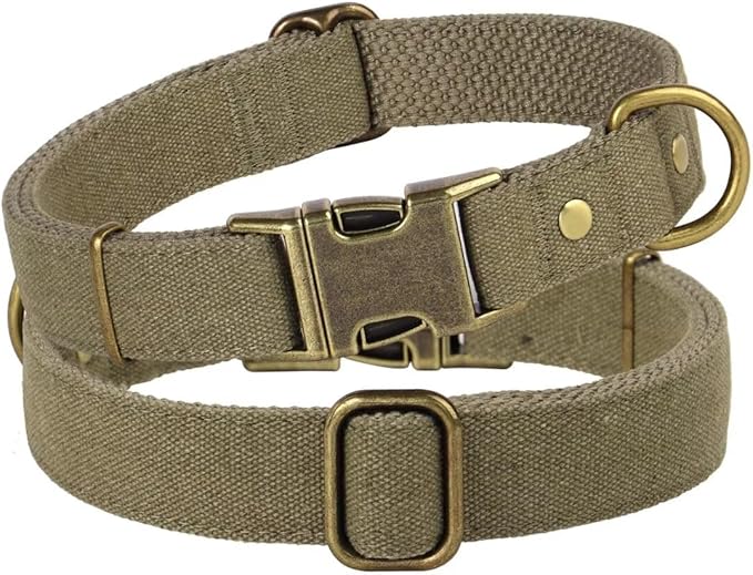 PET ARTIST Dog Collar for Large Dogs, Soft Padded Premium Nylon Dog Collar with Quick Release Metal Buckle, Durable & Adjustable Pet Collars for Boy Gifts, Green, L (Fit 15-22")