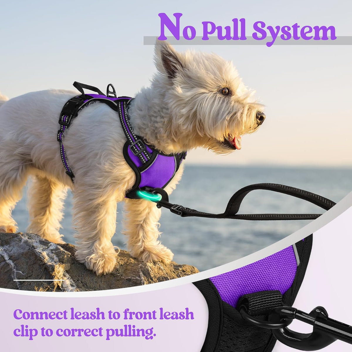rabbitgoo Dog Harness No Pull with 2 Leash Clips, Adjustable Soft Padded, Reflective Oxford No Choke Pet Vest with Easy Control Handle for Puppy, Purple,XS