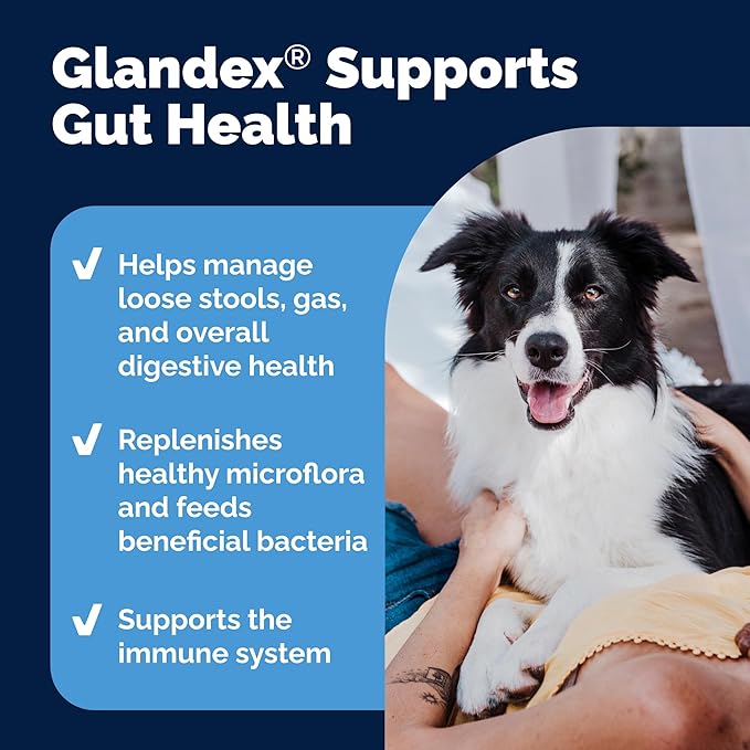 Vetnique Glandex Daily Probiotics for Dogs with Prebiotics to Support Gut Health with Fiber and Digestive Enzymes, Probiotic Chews or Powders (8.5oz Powder, Pork Powder)