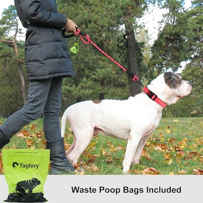 Taglory Rope Dog Leash 5 FT with Comfortable Padded Handle, Highly Reflective Threads Leash and Anti-Tangle Clip for Walking Medium Large Dogs, 1/2 inch, Pink