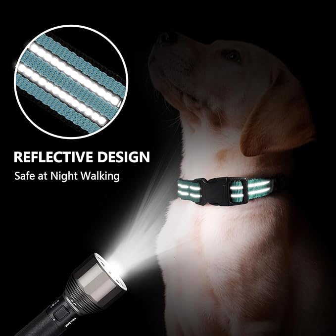 Hikiko Martingale Dog Collars Reflective Nylon Dog Collar with Quick Release Buckle Adjustable Training No Slip Dog Collar (Large, Sky Blue)