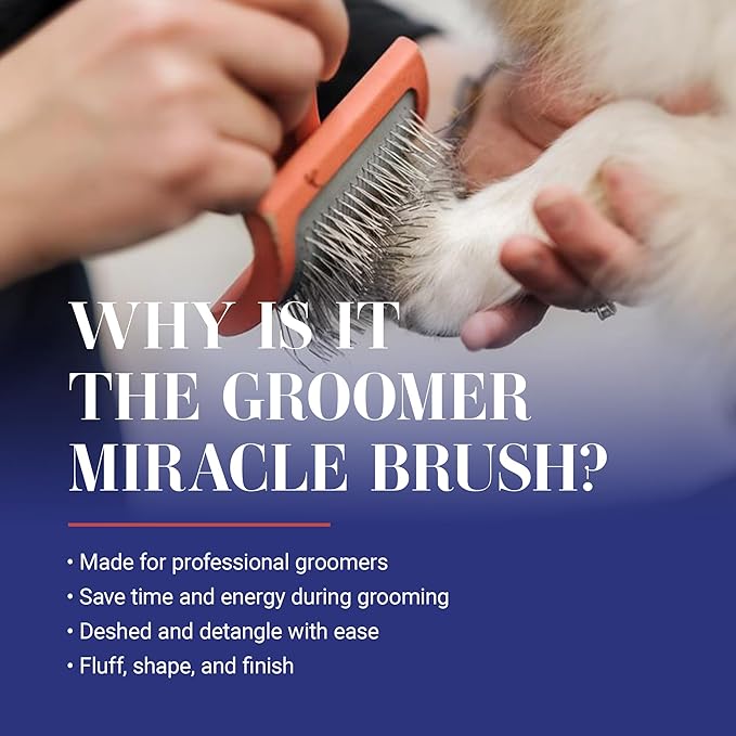 Chris Christensen Baby G Dog Slicker Brush for Dogs (Goldendoodles, Labradoodles, Poodles), Groom Like a Professional, Fluff Detangle Style, Saves Time Energy, Coral, Small