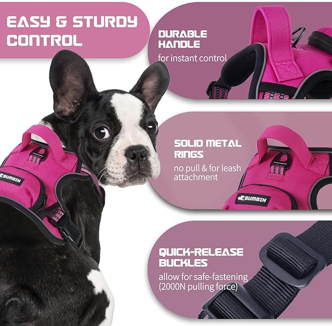 BUMBIN Dog Harness for Large Dogs, No Pull Adjustable No Choke Pet Vest with Dog Leash Fit Smart Reflective Pet Walking Harness for Training Easy Control Soft Handle Rose Red M
