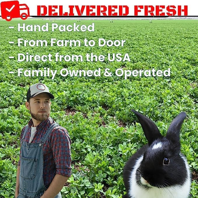 Bunny Honey Organic Alfalfa Hay for Guinea Pigs 12 lb Dim wt/5 lb High-Protein & Calcium, Supports Growth & Dental Health, Fresh & Nutritious