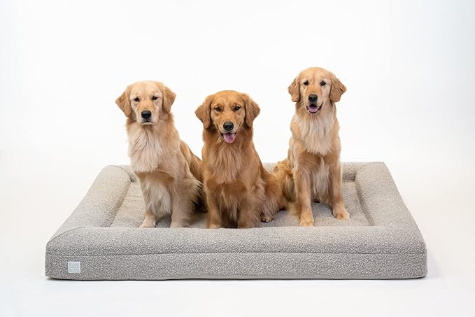 Luxury Boucle Orthopedic Memory Foam Dog Bed with Waterproof Liner and Machine Washable Cover with YKK Zippers (X-Large, 61" L x 44" W x 7" Th, Sand)