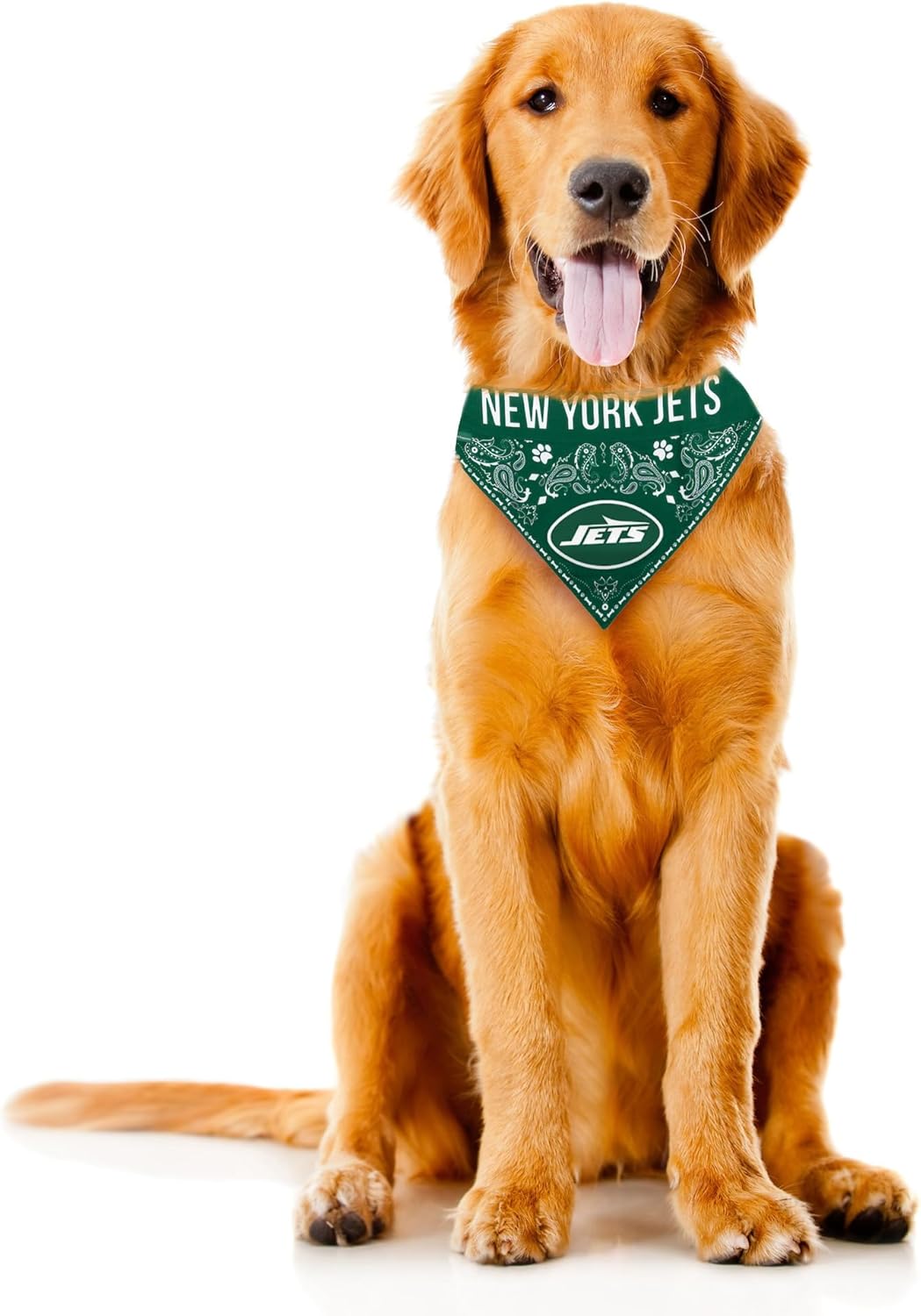 Littlearth NFL Pet Bandana - Reversible